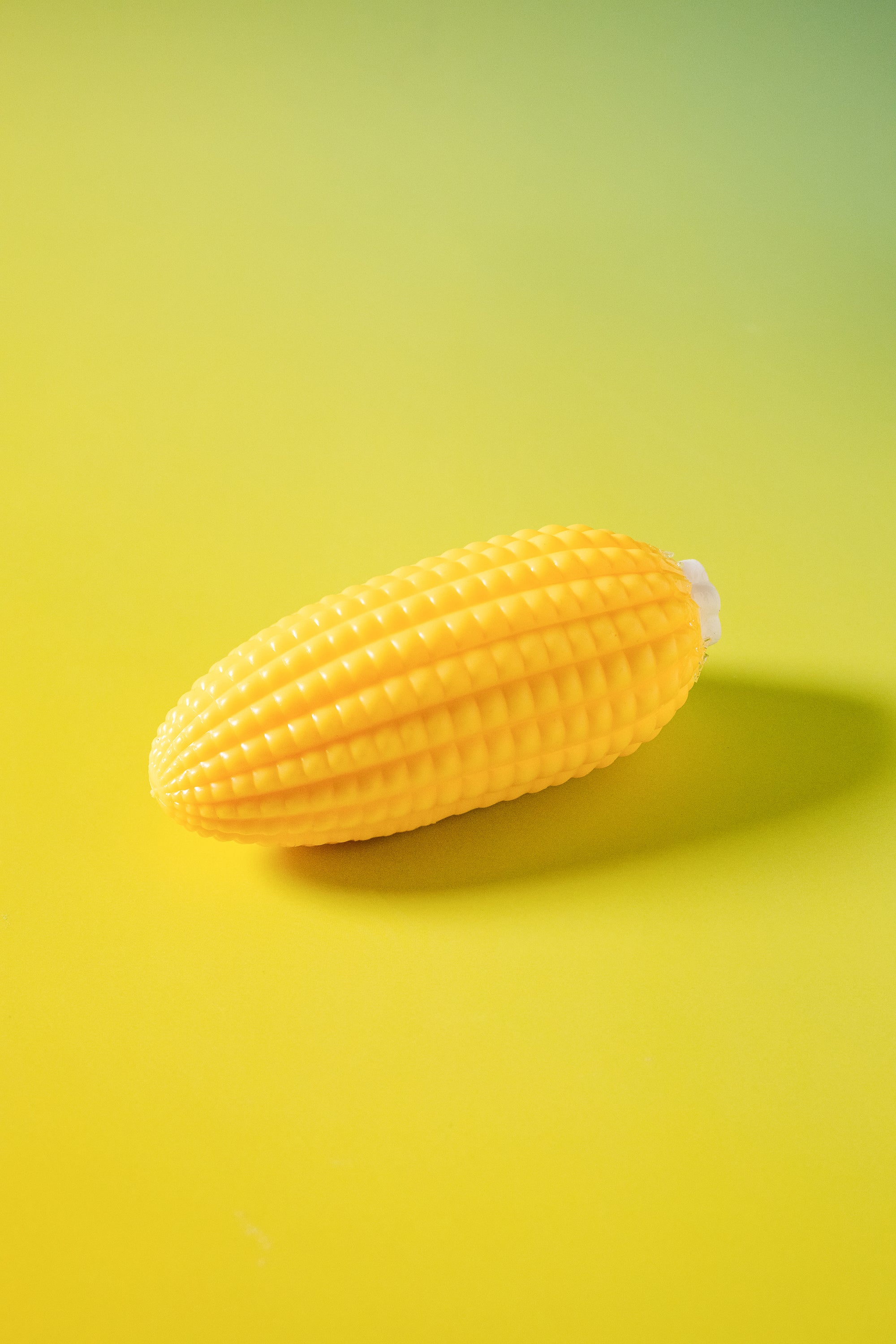Sweet Corn