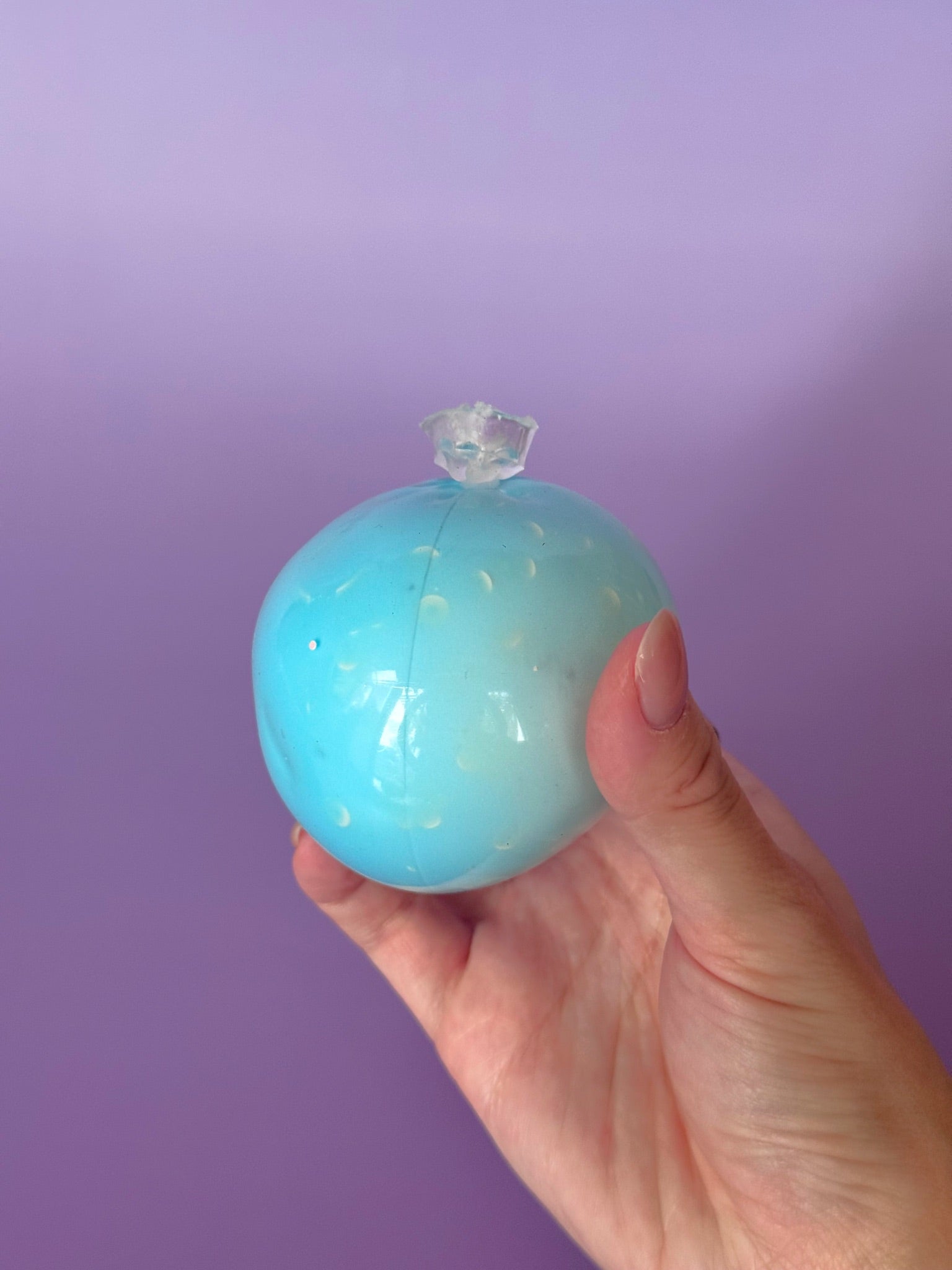 Blueberry ASMR Squishy Ball