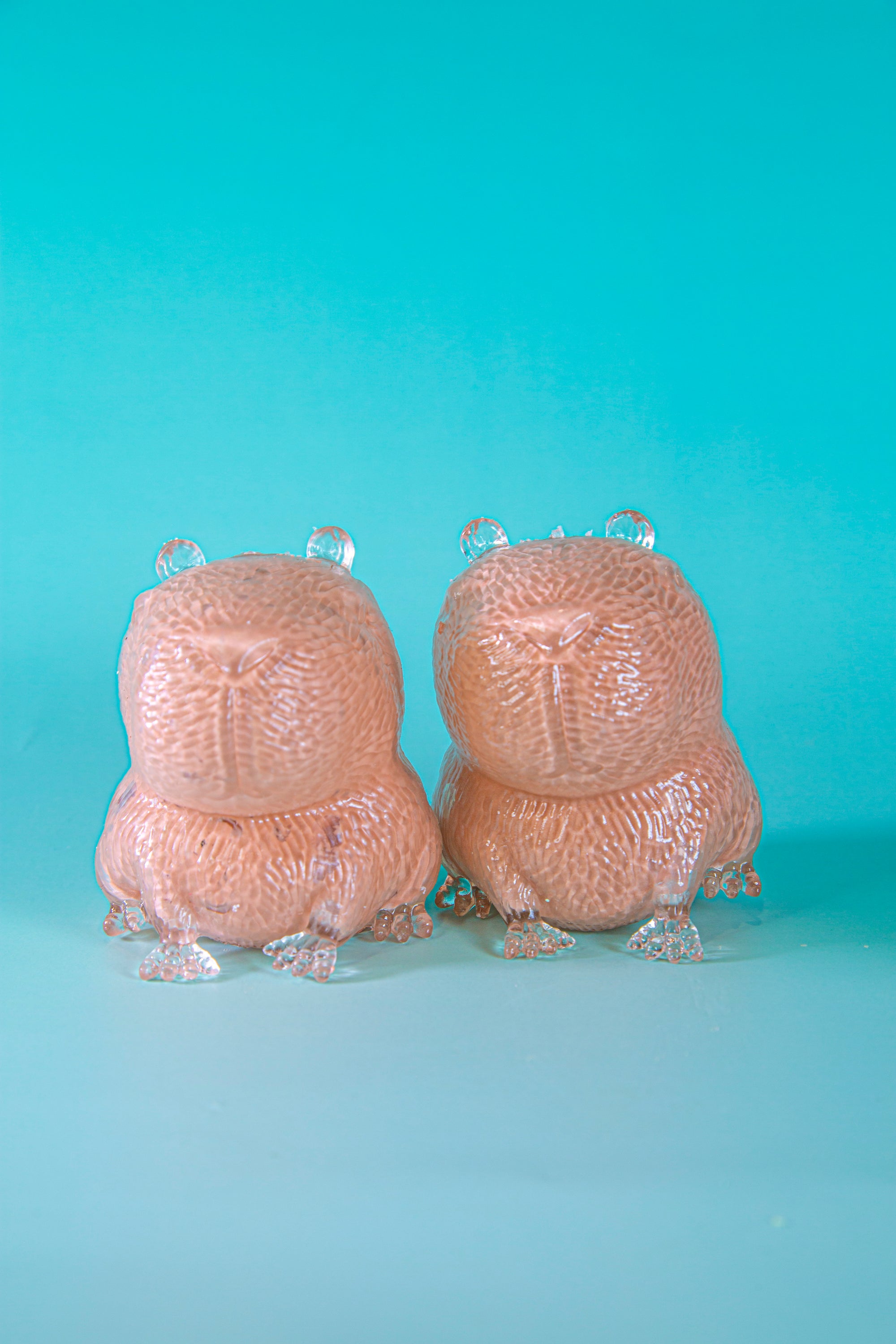 Capybara