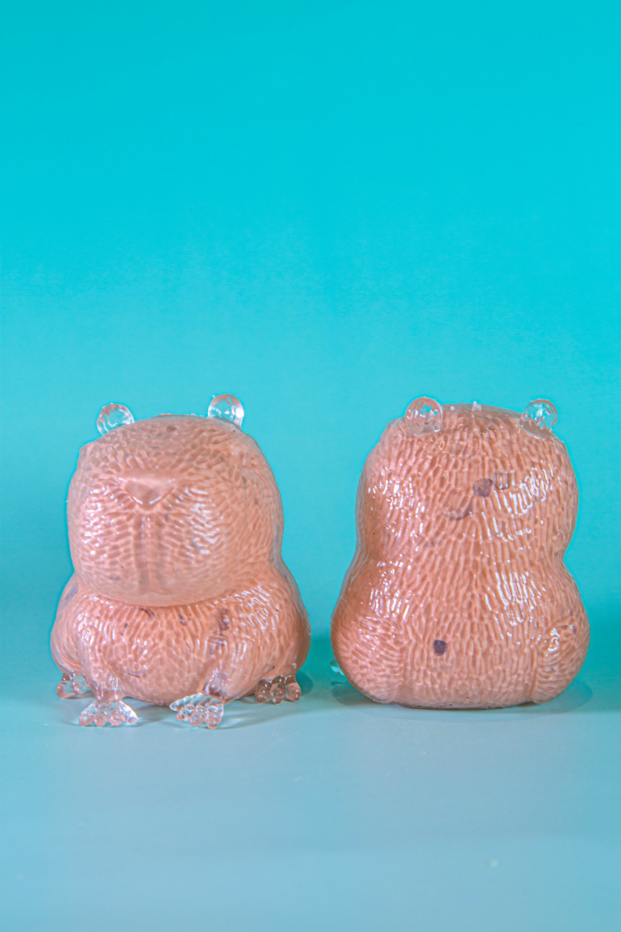 Capybara