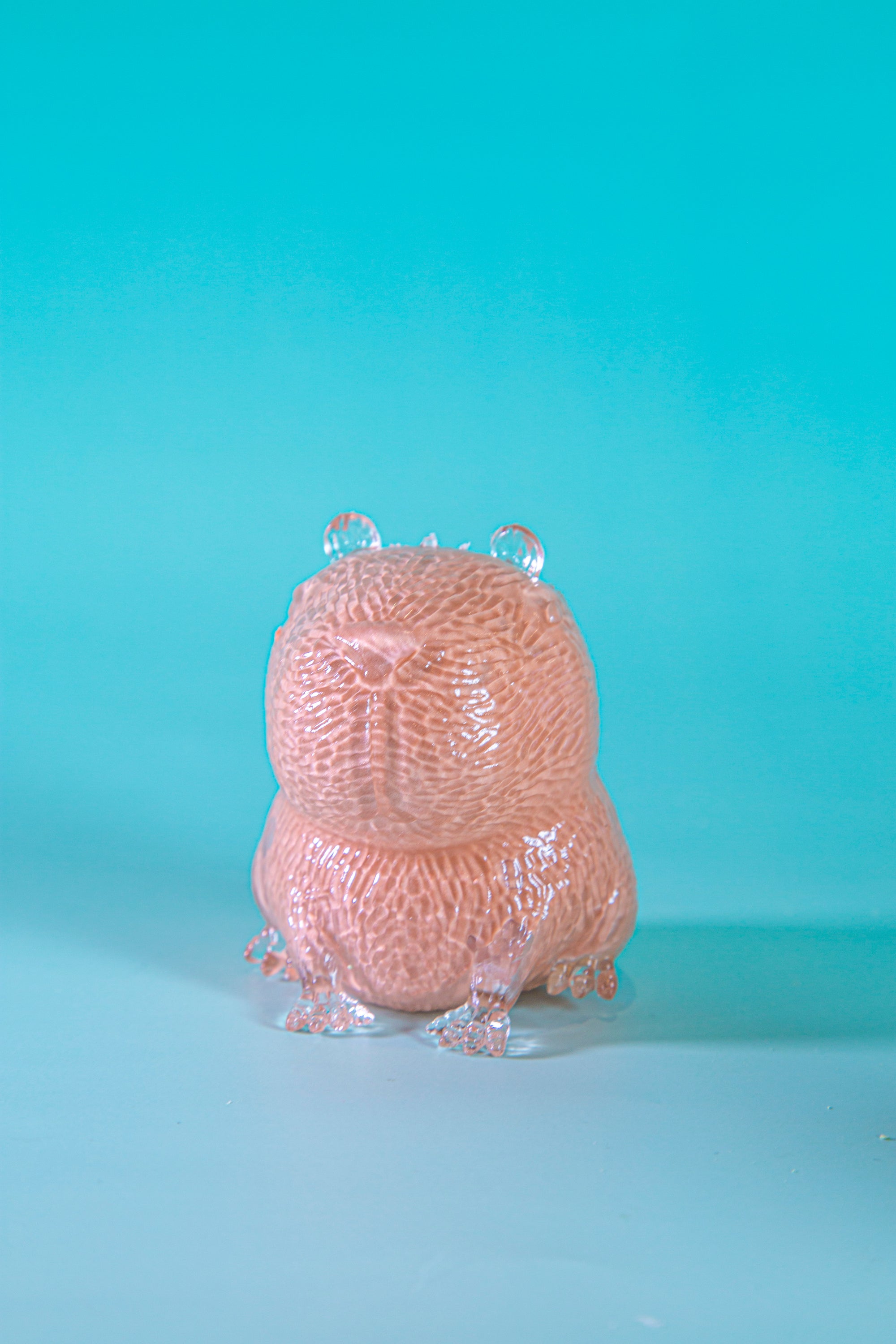Capybara