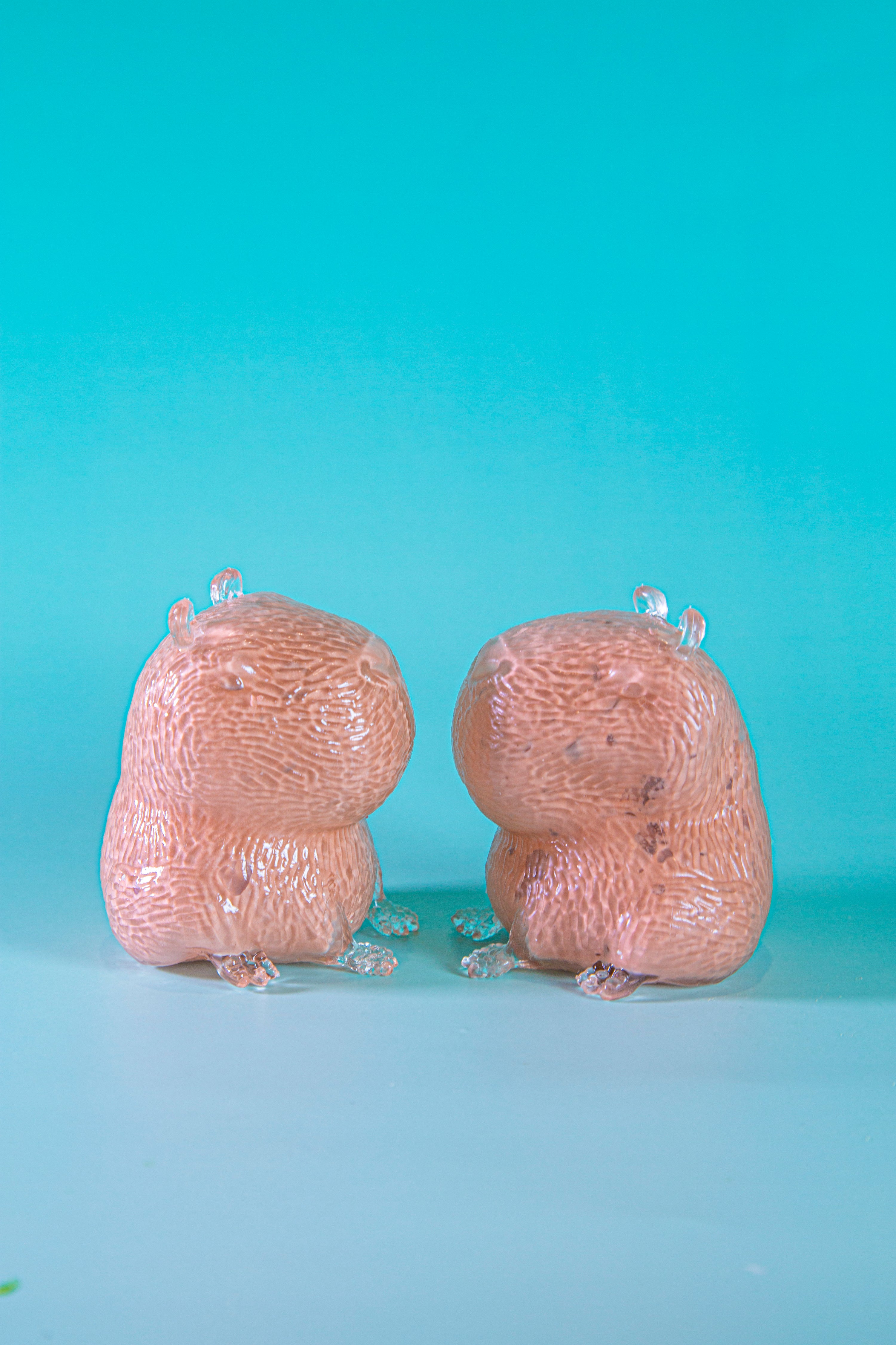 Capybara