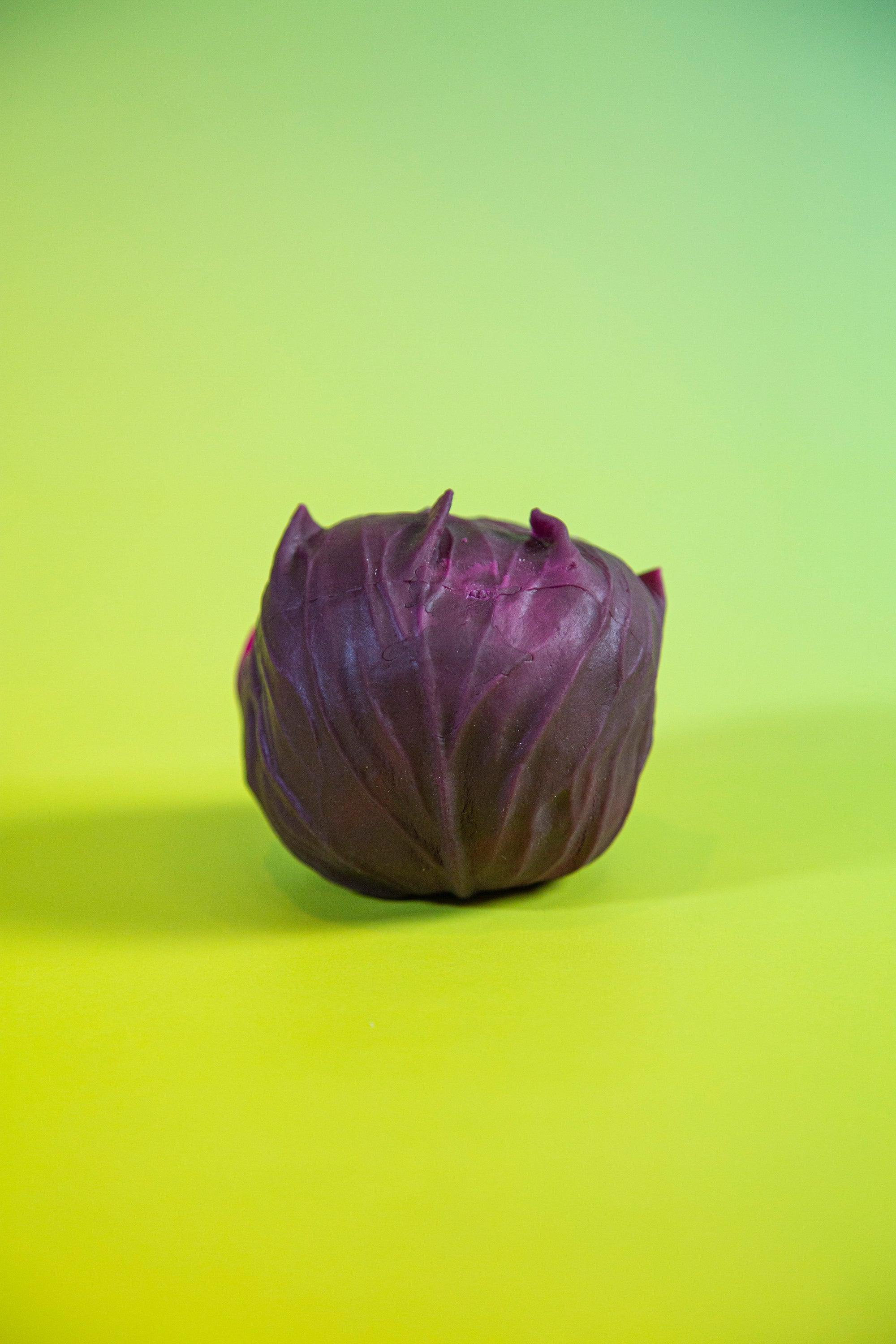 Red Cabbage
