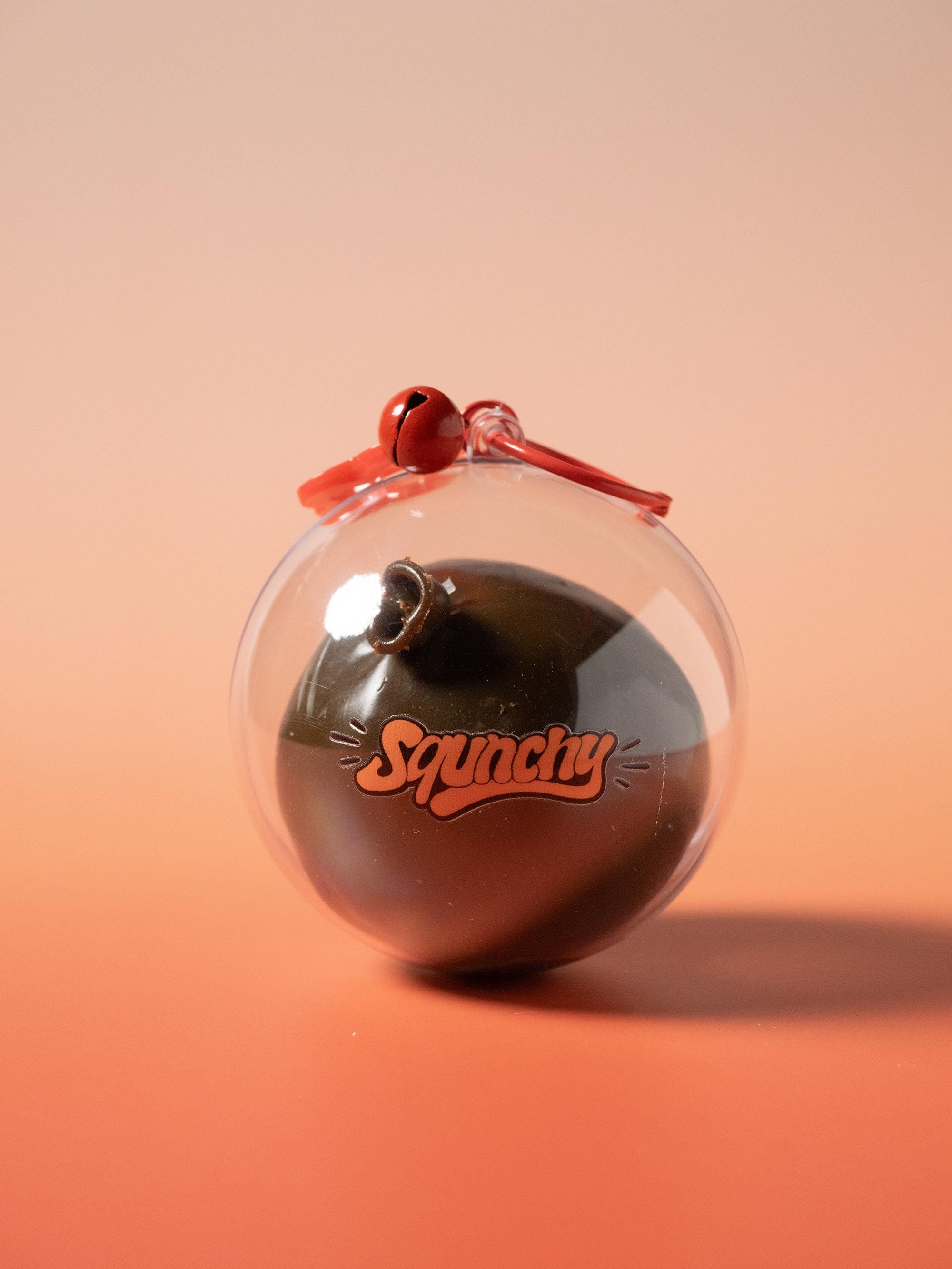 Gingerbread house stress ball DIY kit