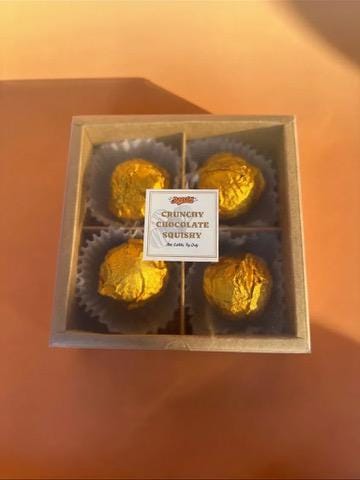 Chrunchy Chocolate Squishy