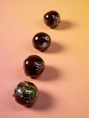 Chrunchy Chocolate Squishy